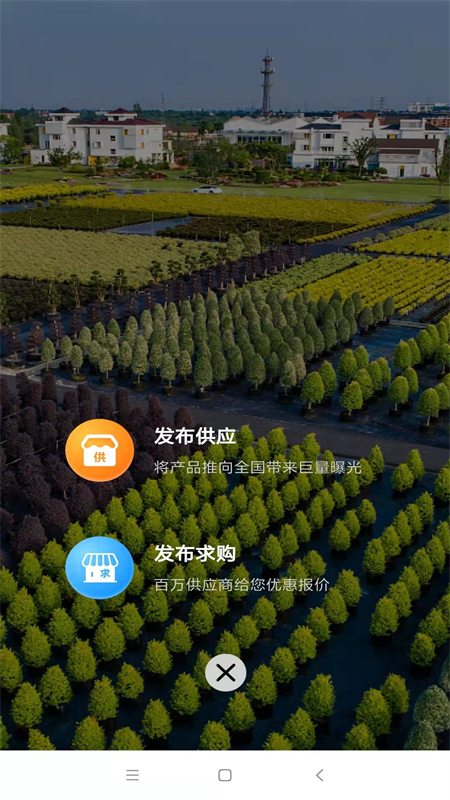 中数苗