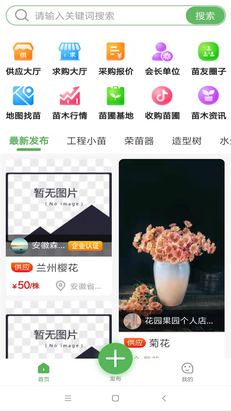 中数苗