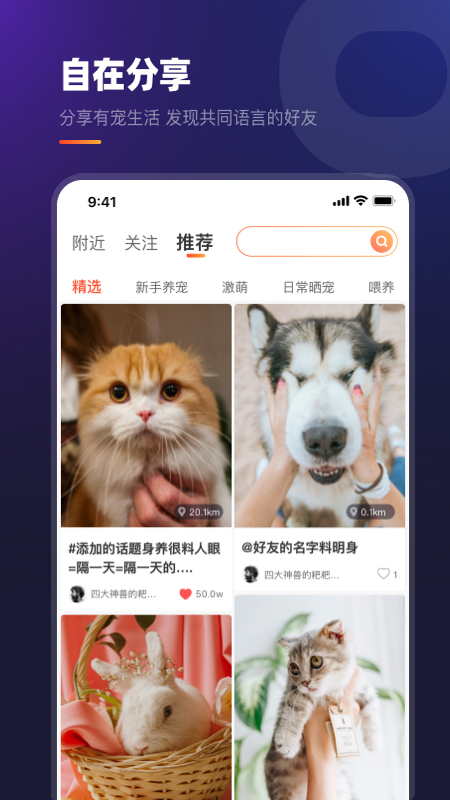 趣爪印