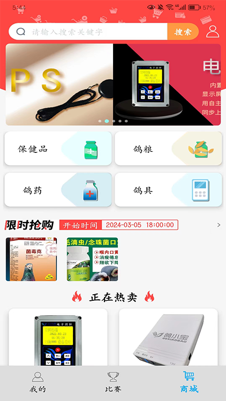 鸽小宝