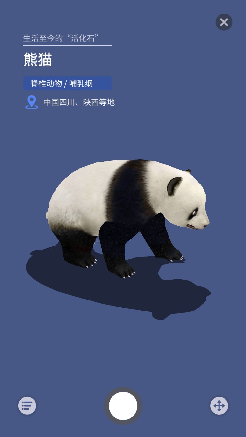 大眼探世界