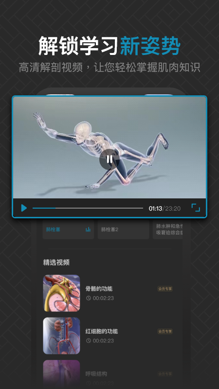 3d肌肉解剖_截图4