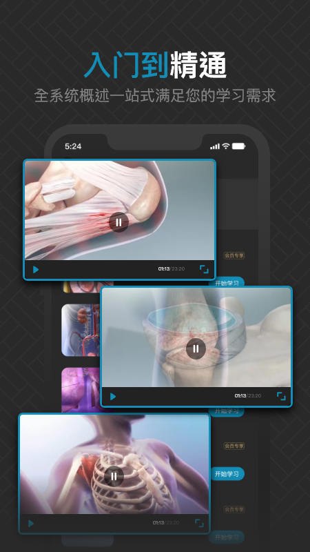 3d肌肉解剖_截图3