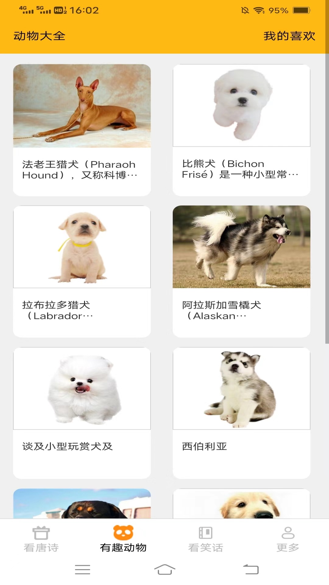 红果趣看宝