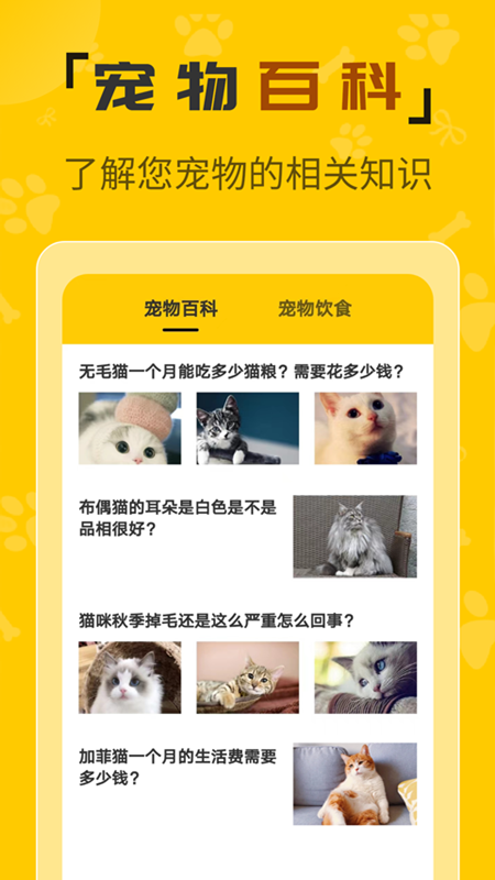 人猫翻译机
