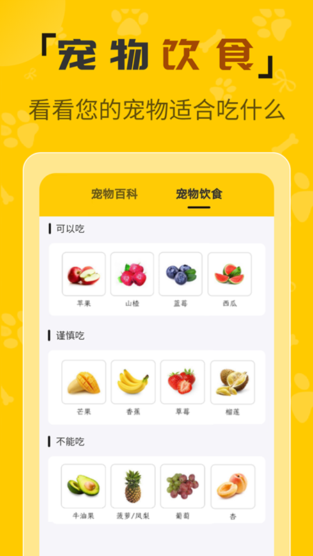 人猫翻译机