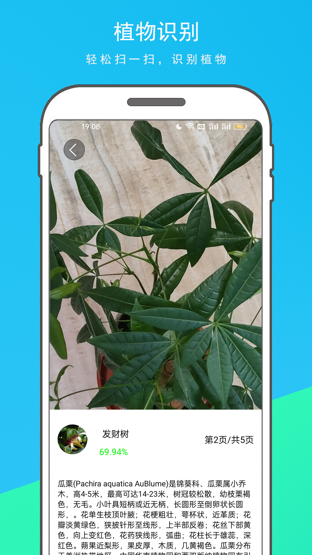 万物识别王_截图2