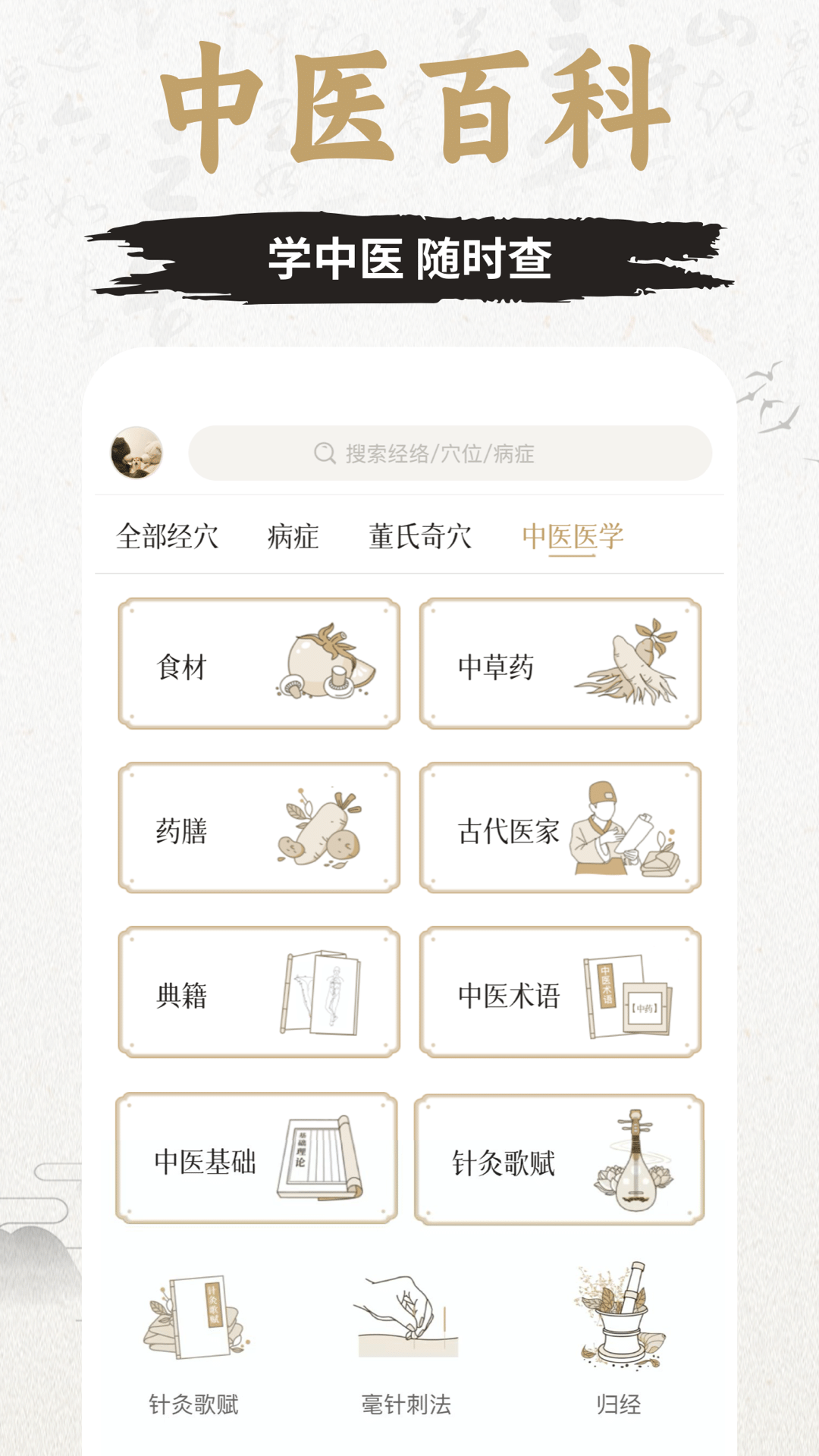 中济经络穴位