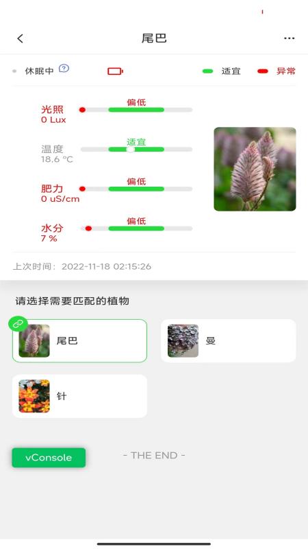 苗云卉