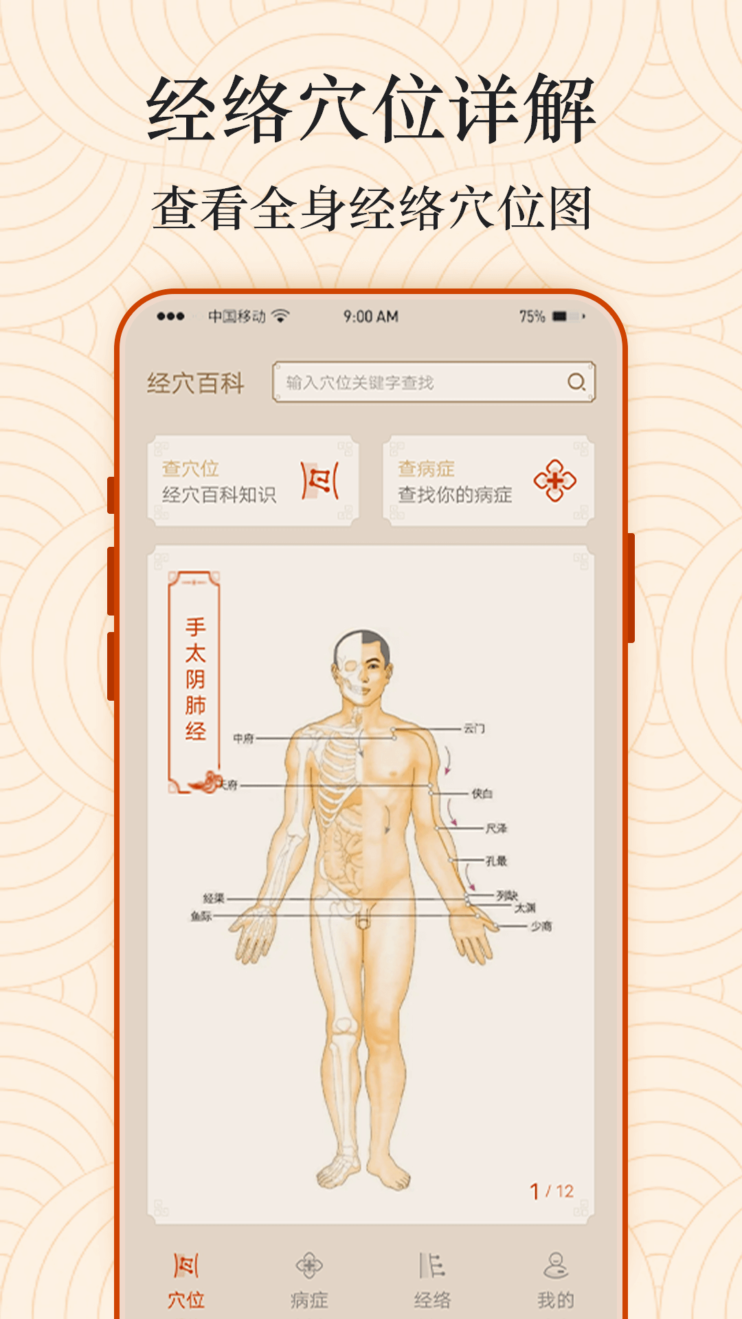 经络图解