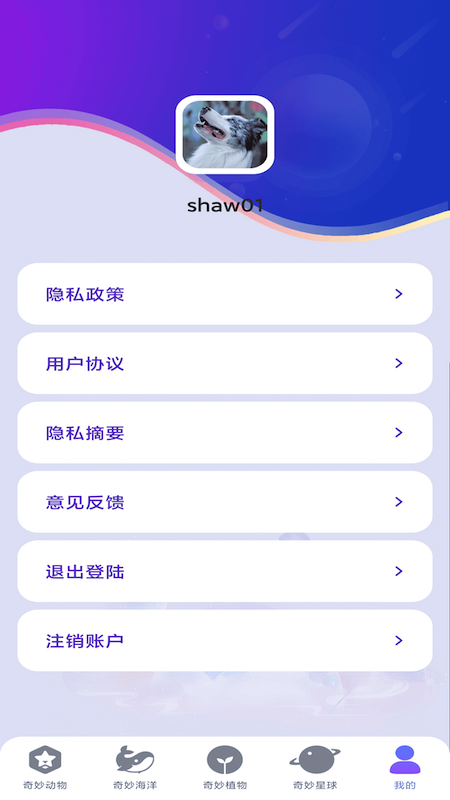 妙看多多
