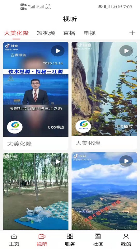 大美化隆