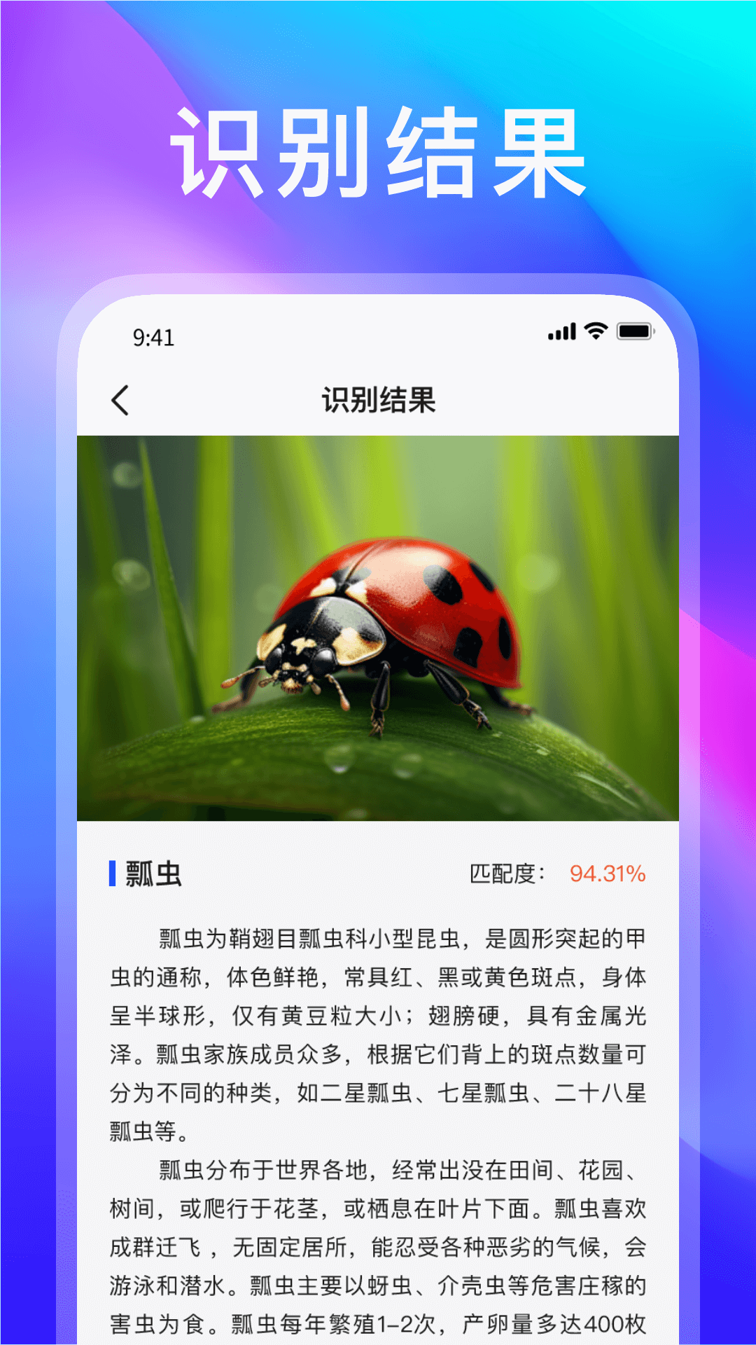 动物世界
