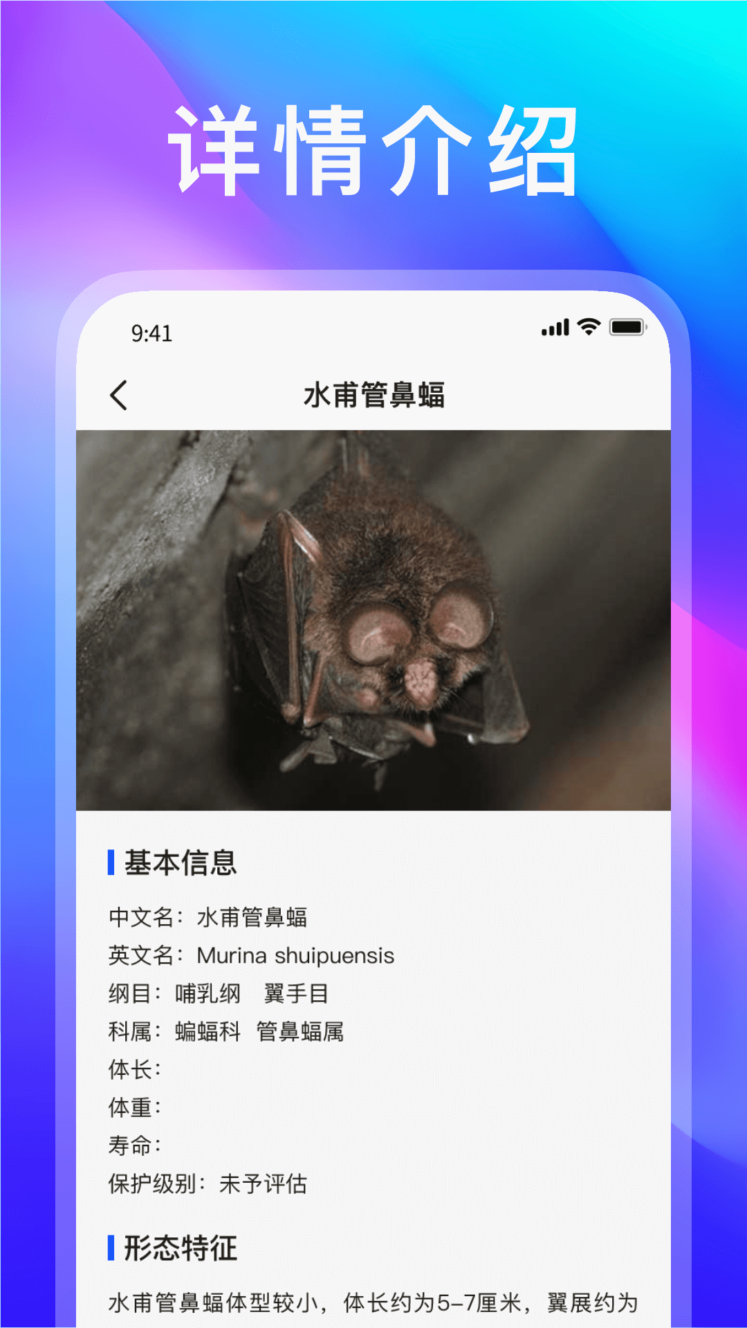 动物世界