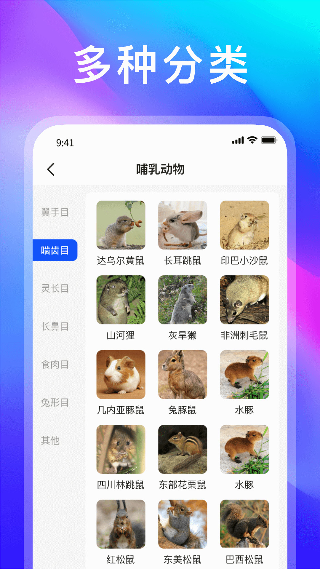 动物世界