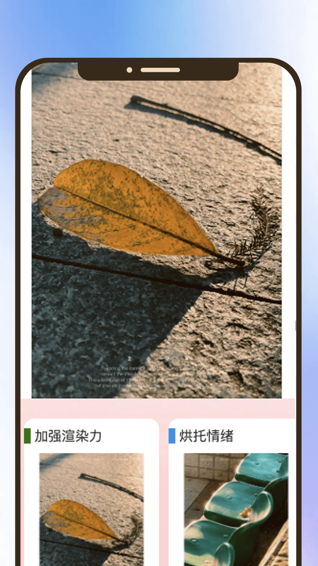 聚焦视界