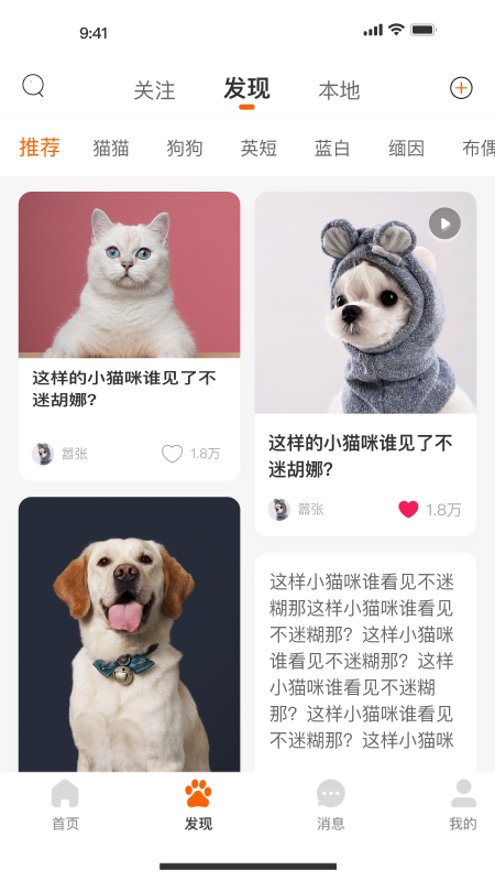 宠集