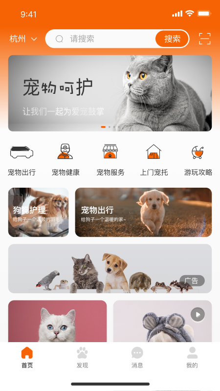 宠集