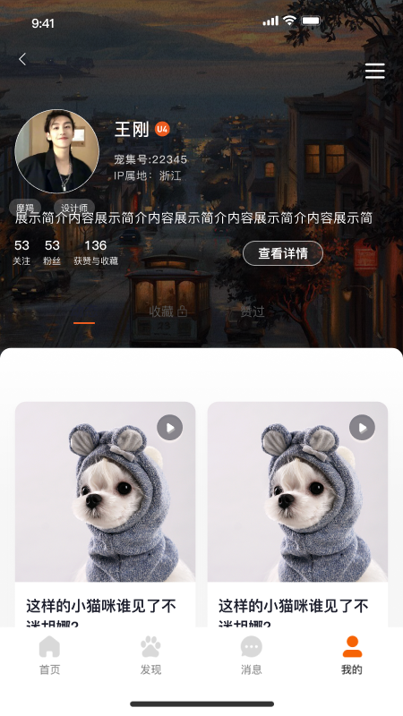 宠集