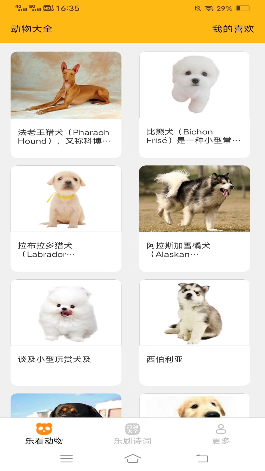 乐看刷刷_截图1