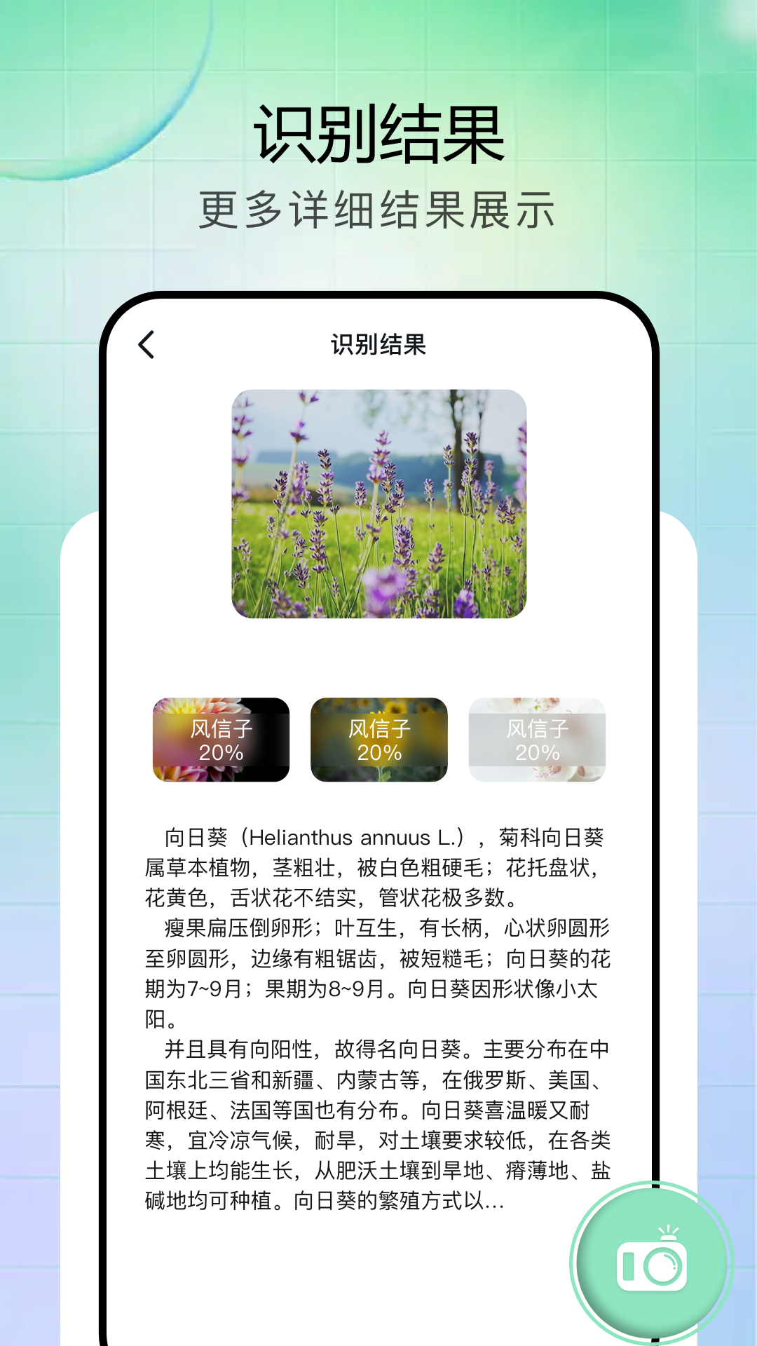 vflat扫描仪_截图2