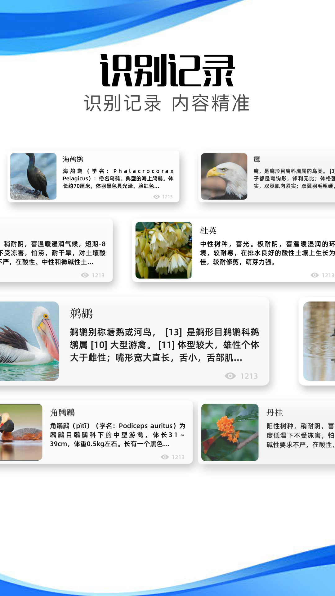 冷眸软件