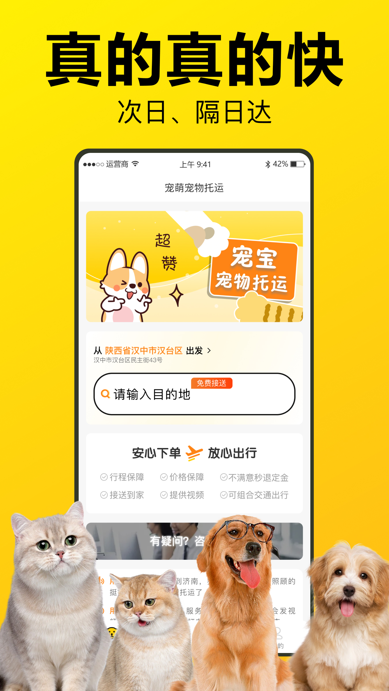 宠宝宠物托运