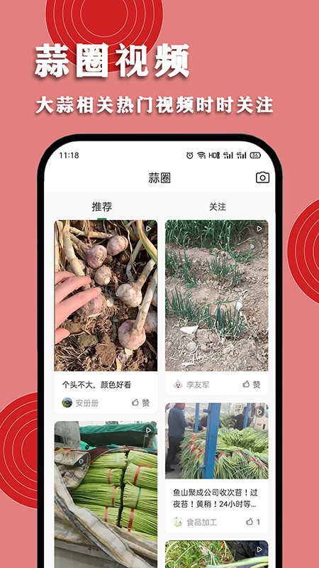 华蒜网