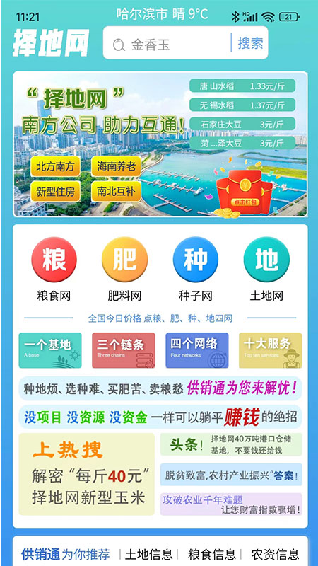 择地网