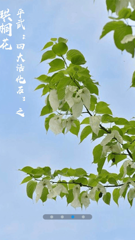 直播平武