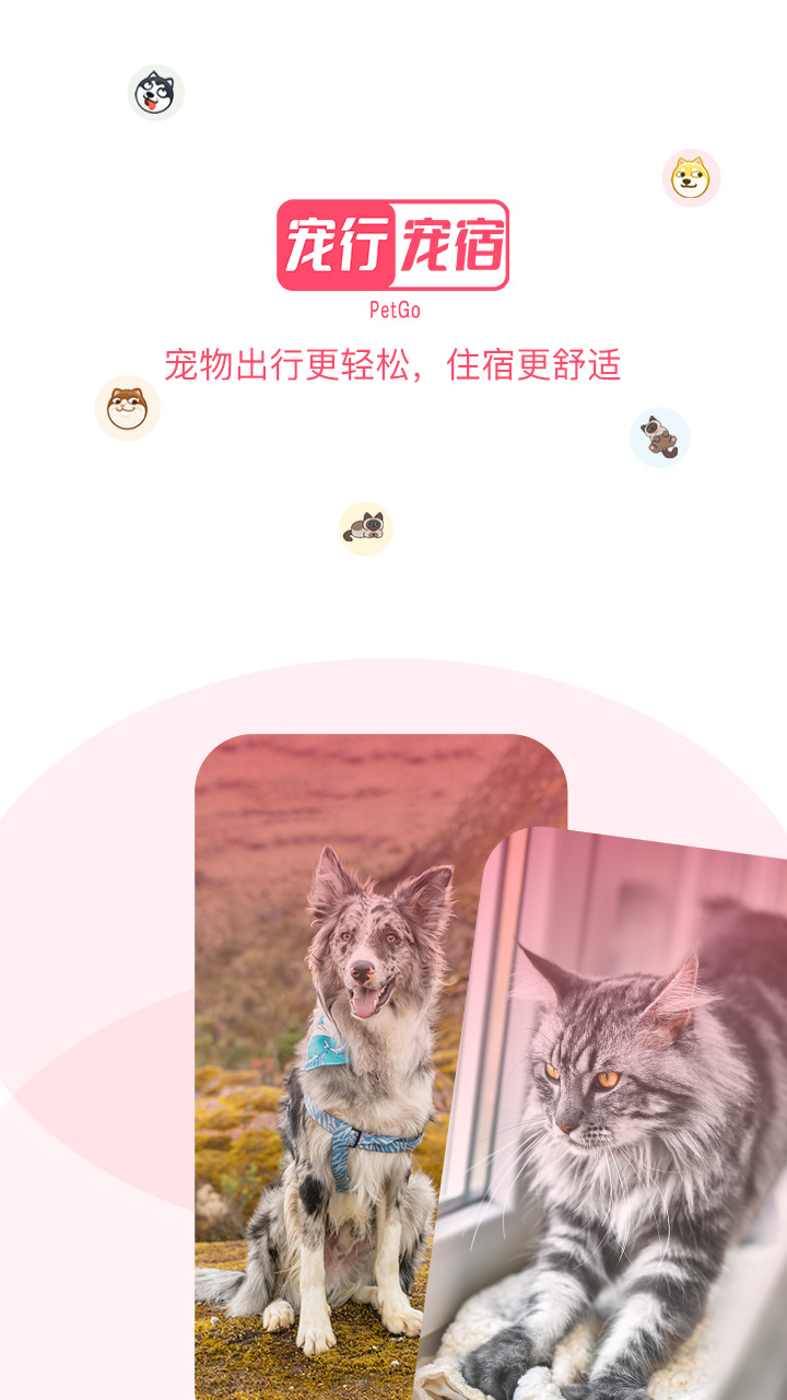 宠行宠宿