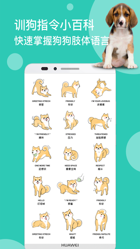 狗语翻译