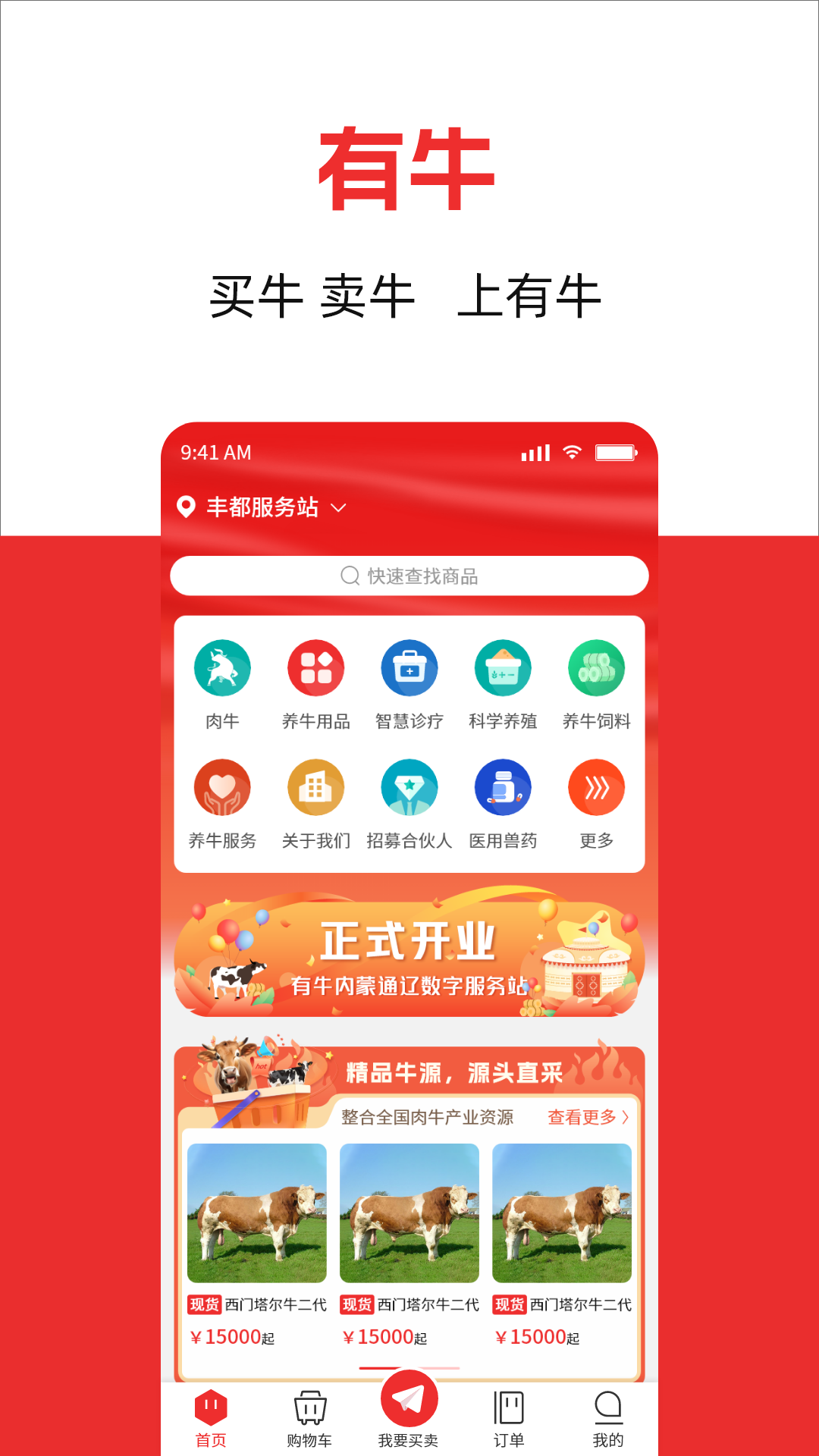 有牛