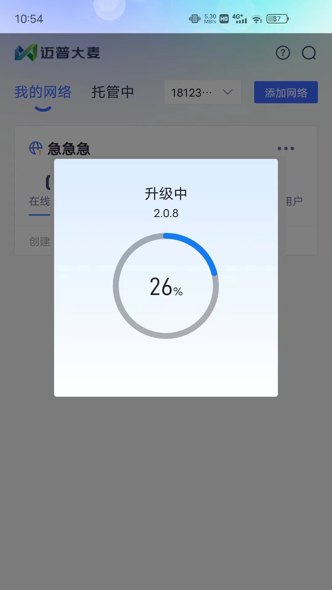 迈普大麦