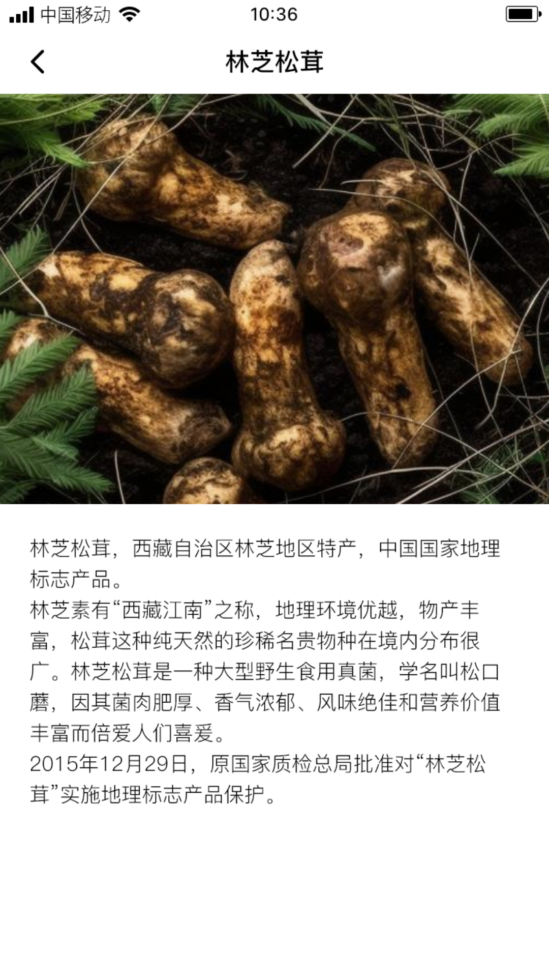 苏木松茸