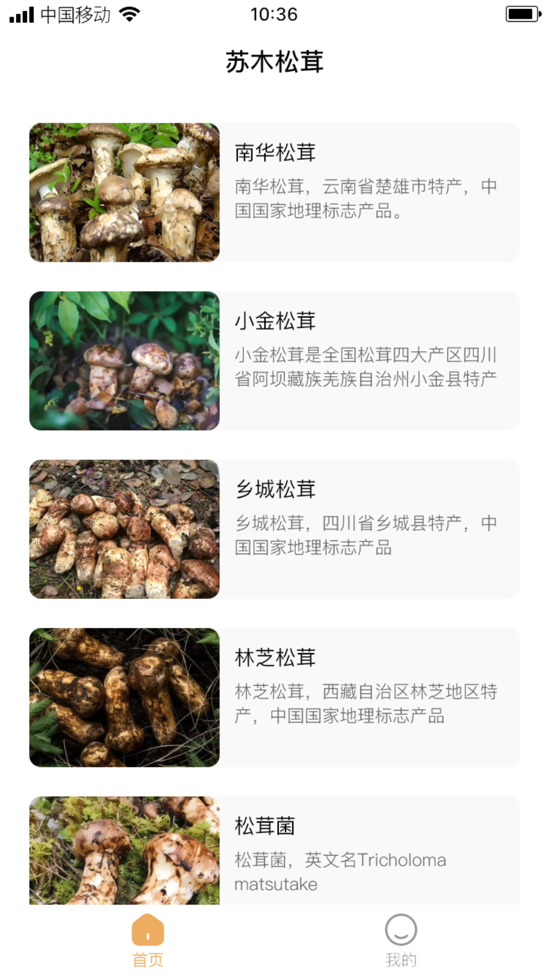 苏木松茸