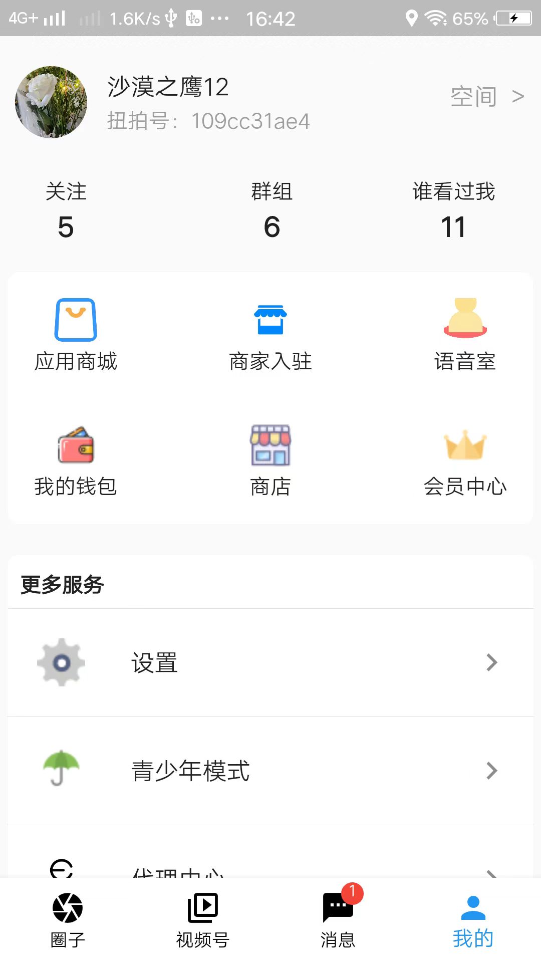 扭拍