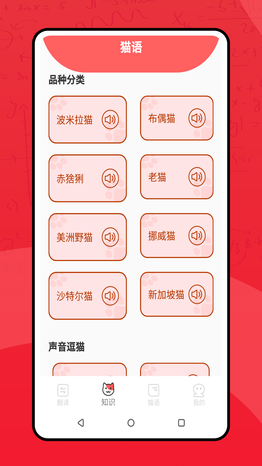 喵了个汪