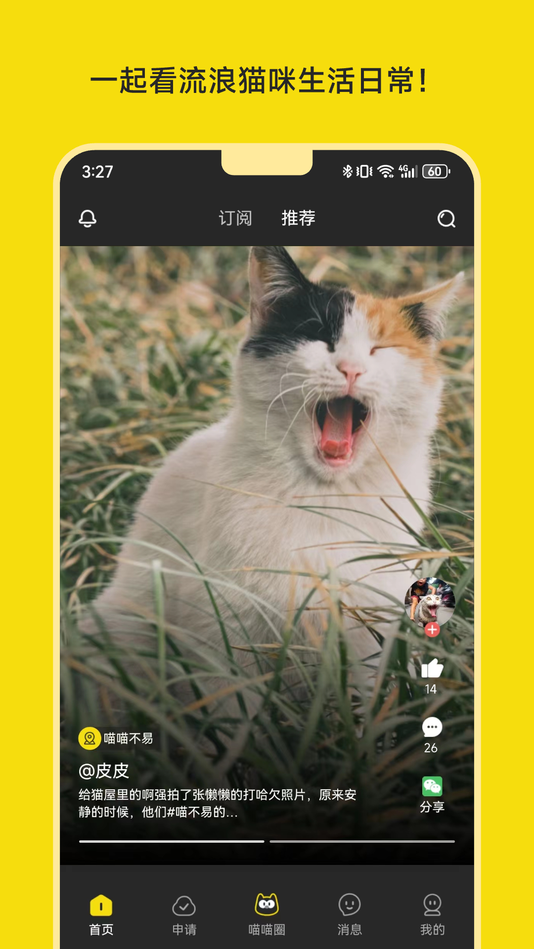 喵喵不易_截图3