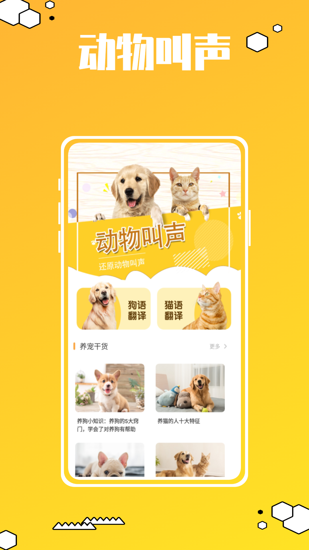 动物叫声翻译器鸭