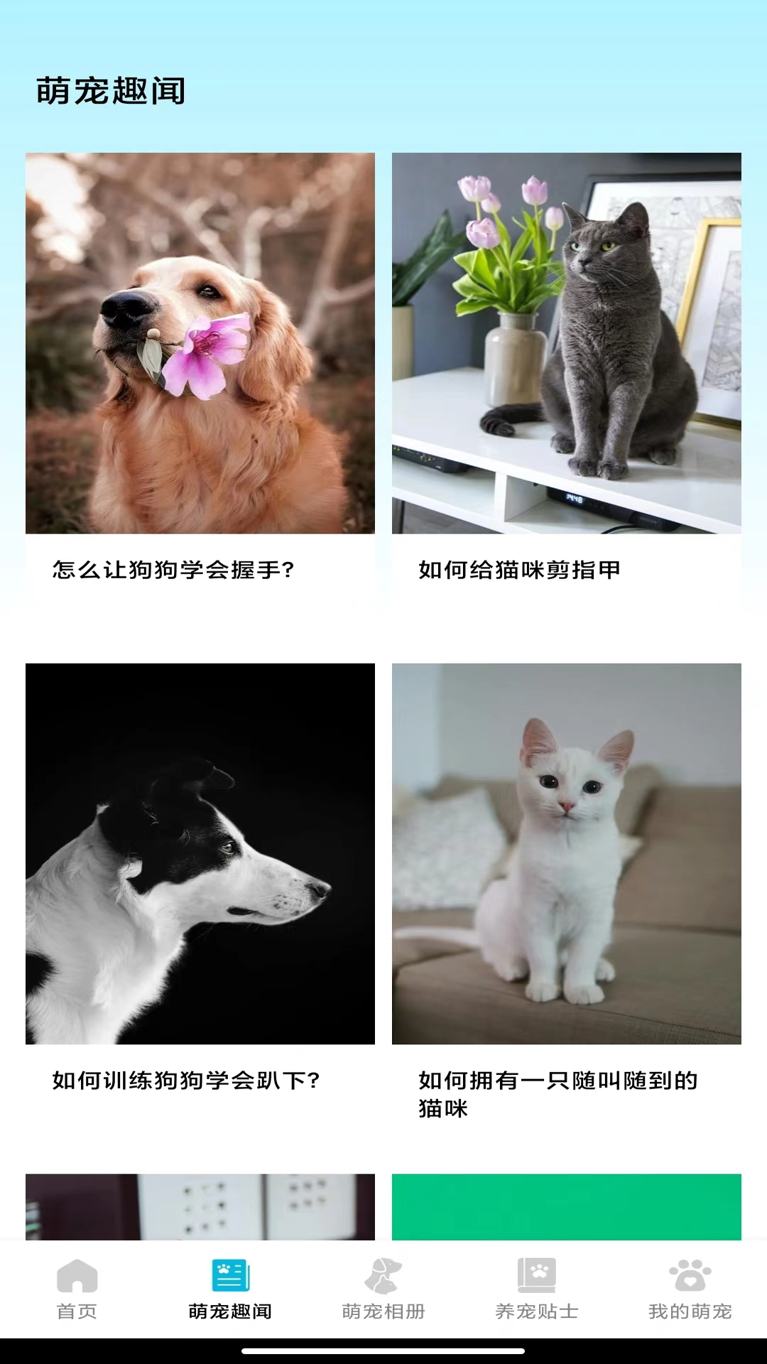 欢乐萌宠