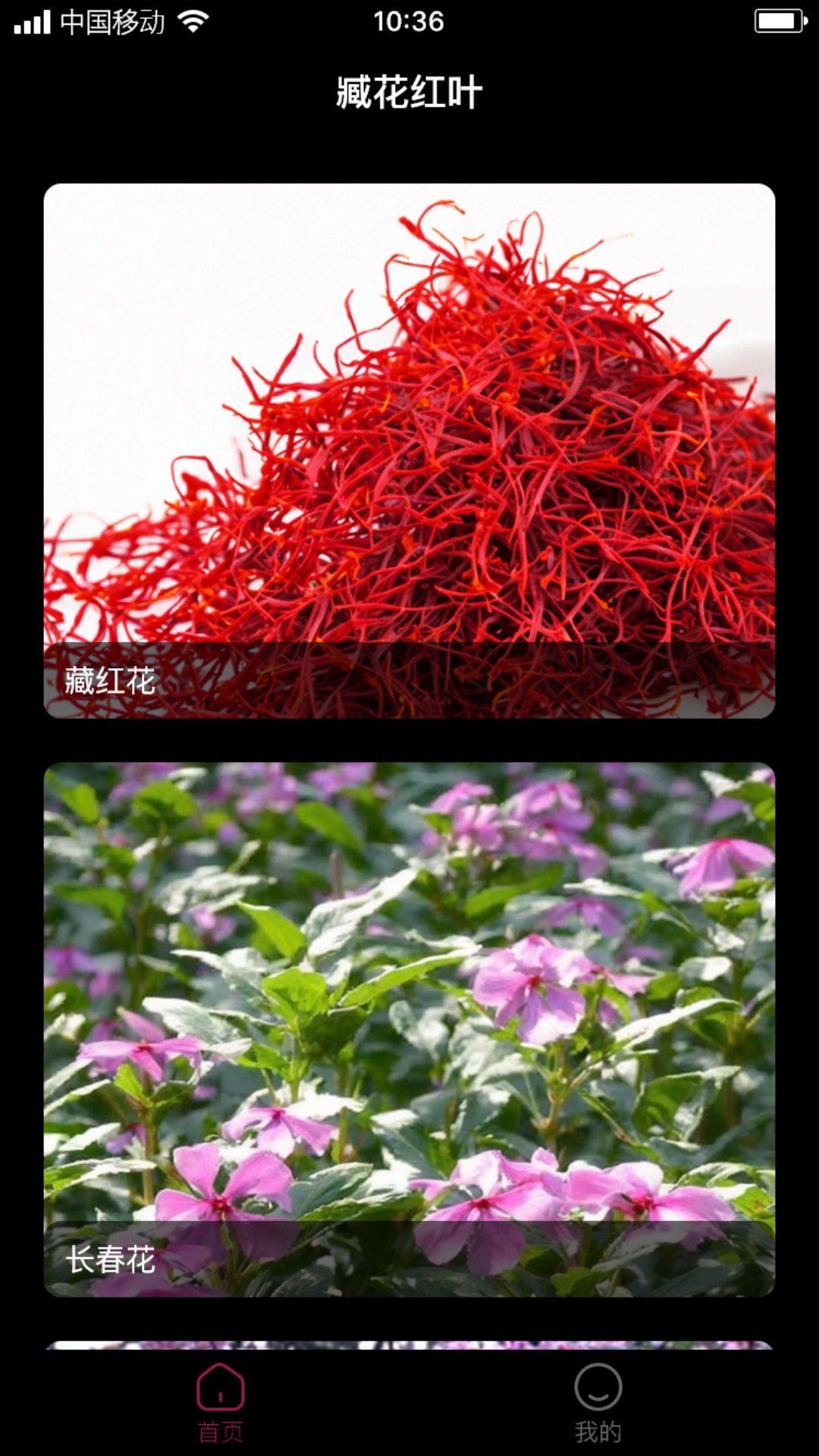 臧花红叶