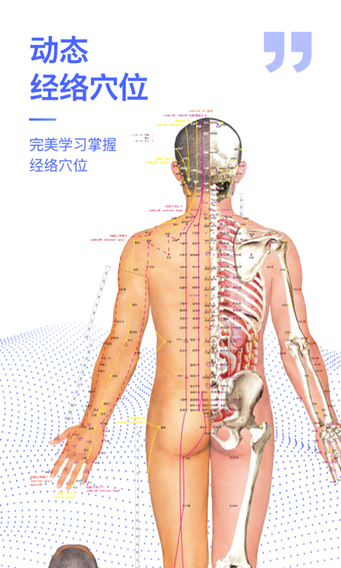 人体3d解剖图谱_截图3