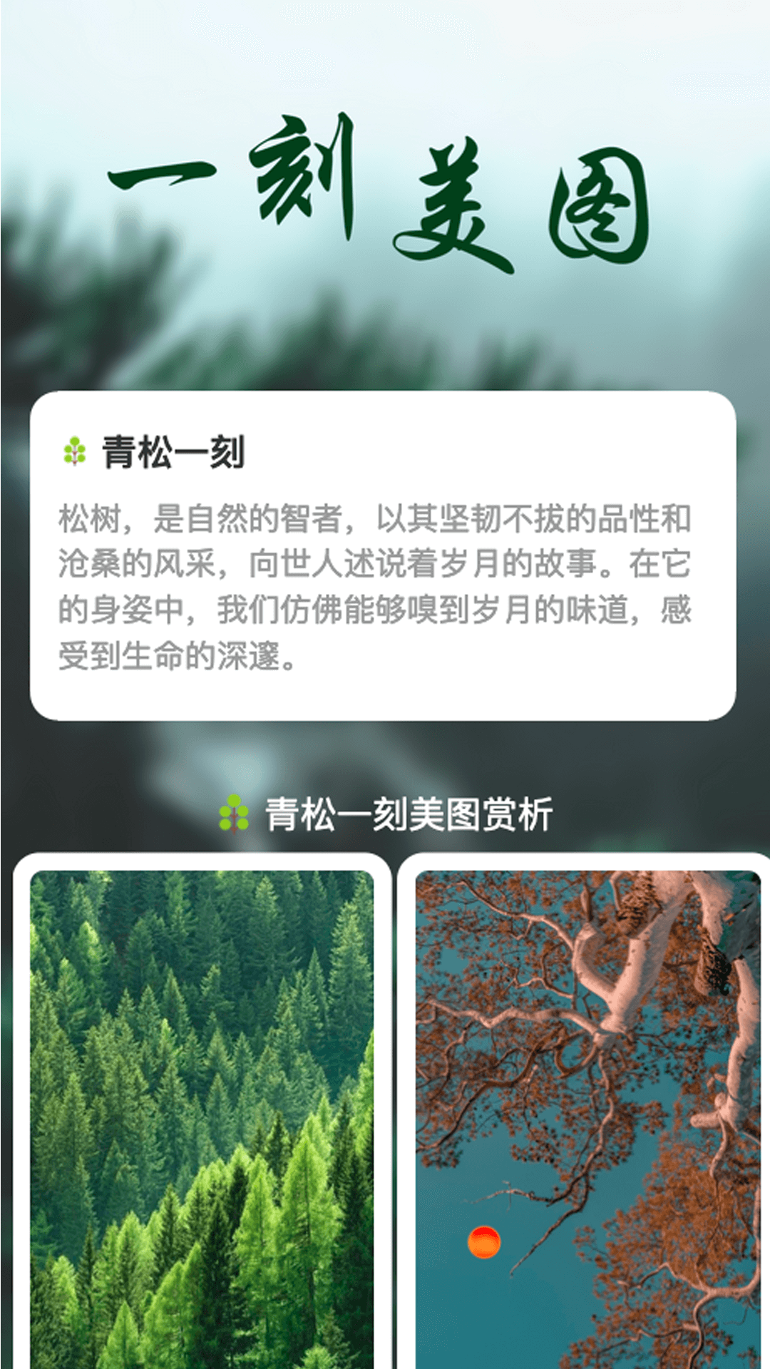 青松一刻_截图2