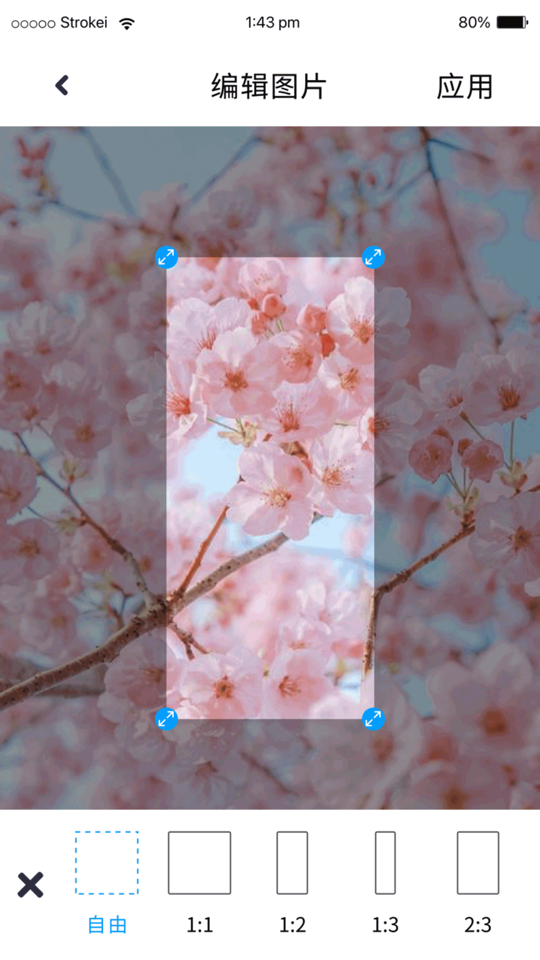 p图照片处理_截图3