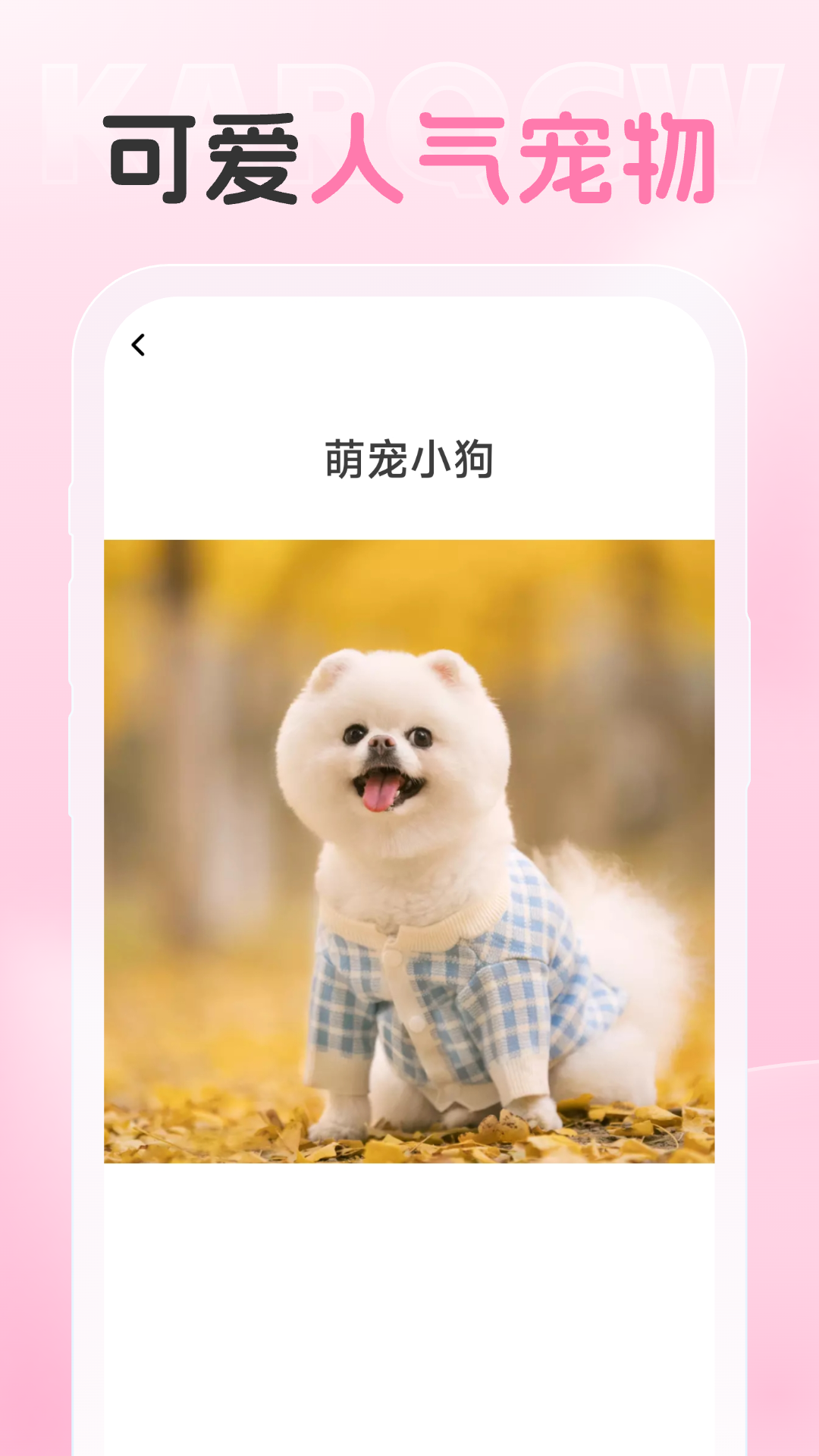 爱炫相机