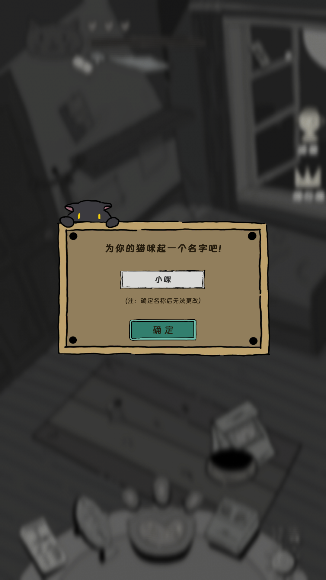 猫猫喵喵