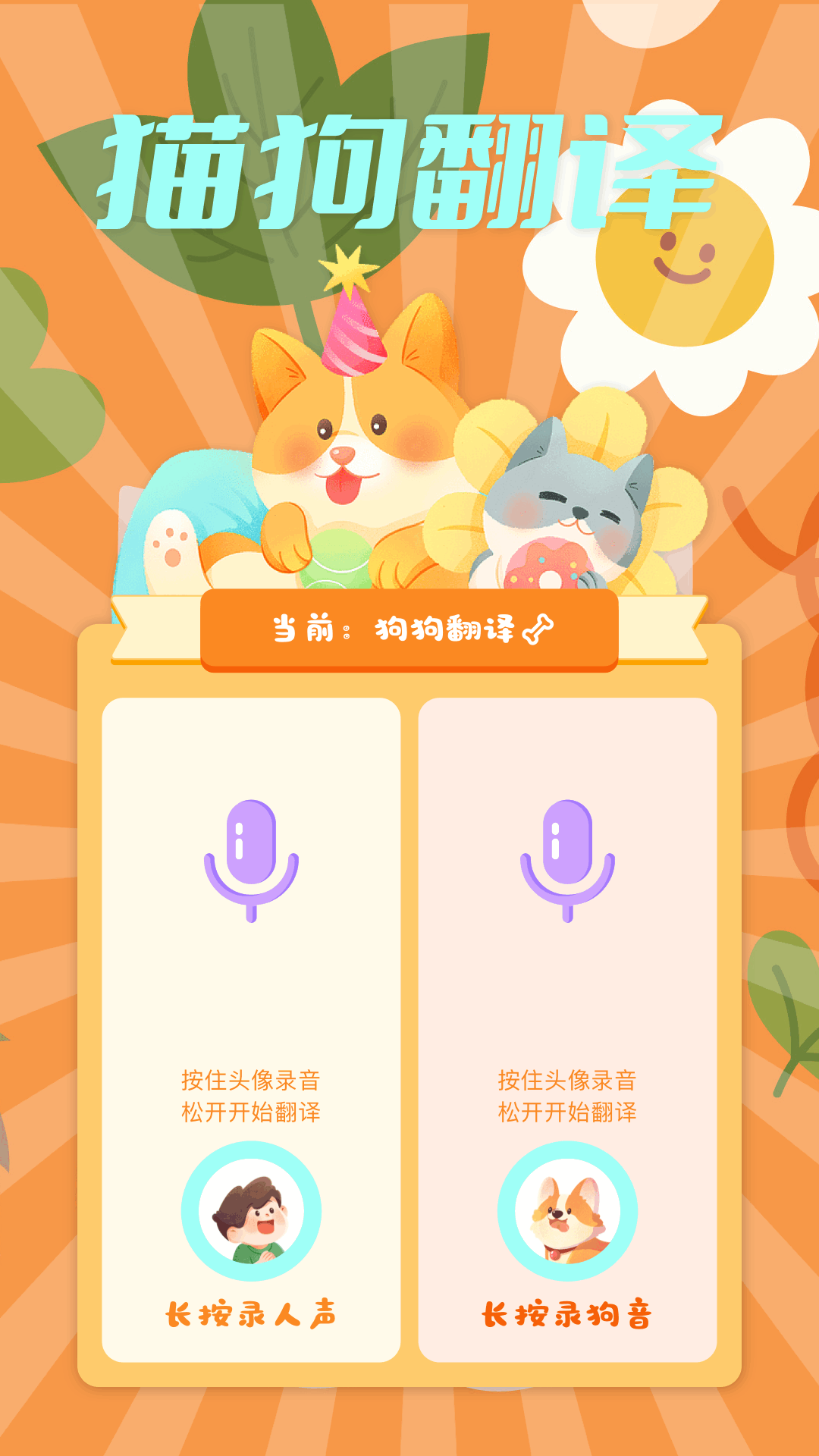 猫语精灵