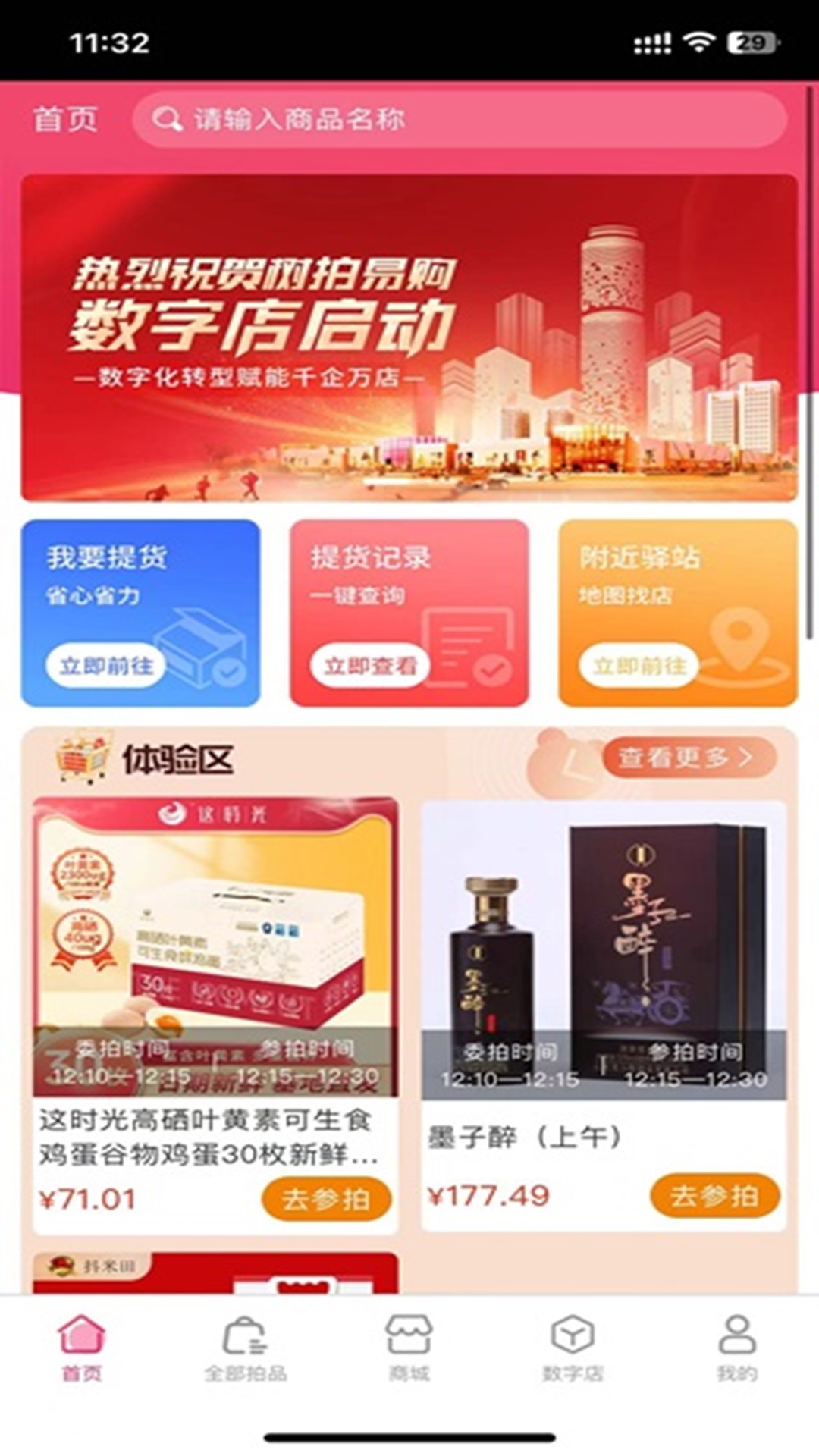 树拍