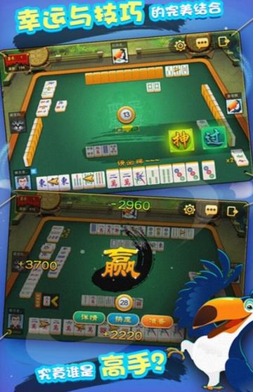 华庆棋牌hq111手机版_截图2